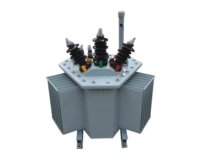 S22 Oil-Immersed 3D Wound Core Transformers (4)